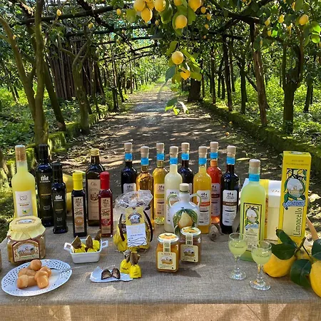 Il Convento ファームステイ